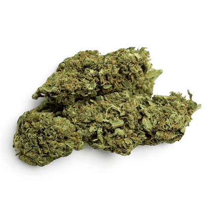 Fleur de CBD Mango Kush Indoor – détail 2