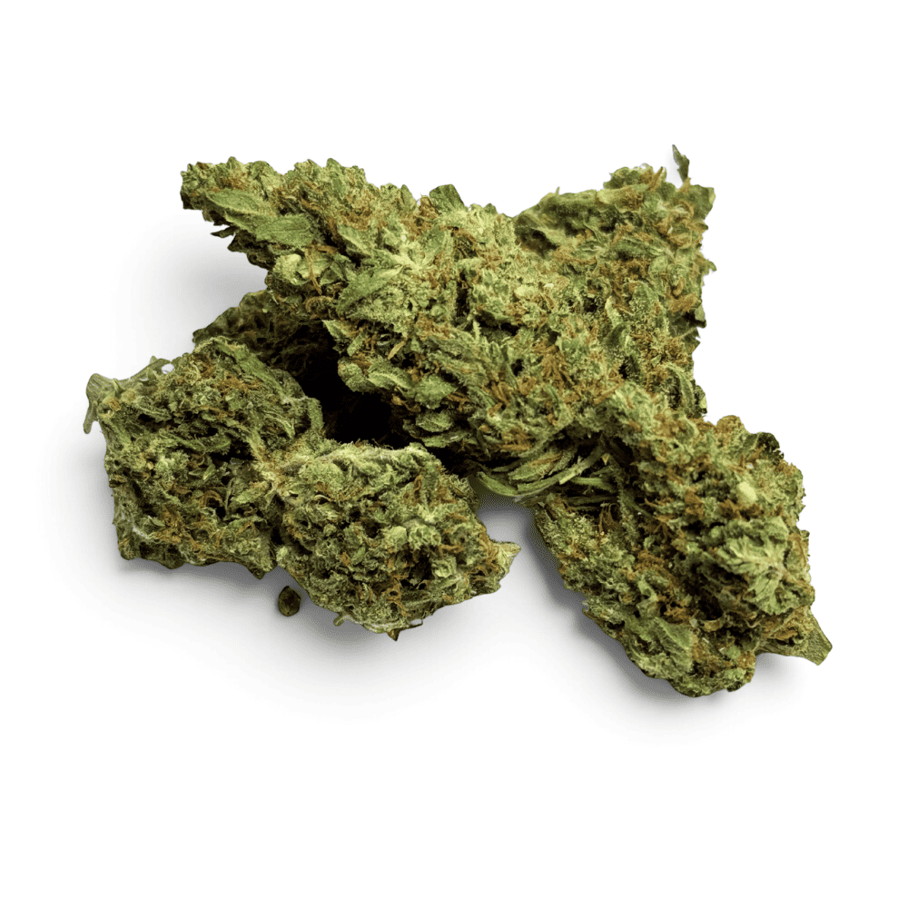 Fleur de CBD Mango Kush Indoor – détail 3