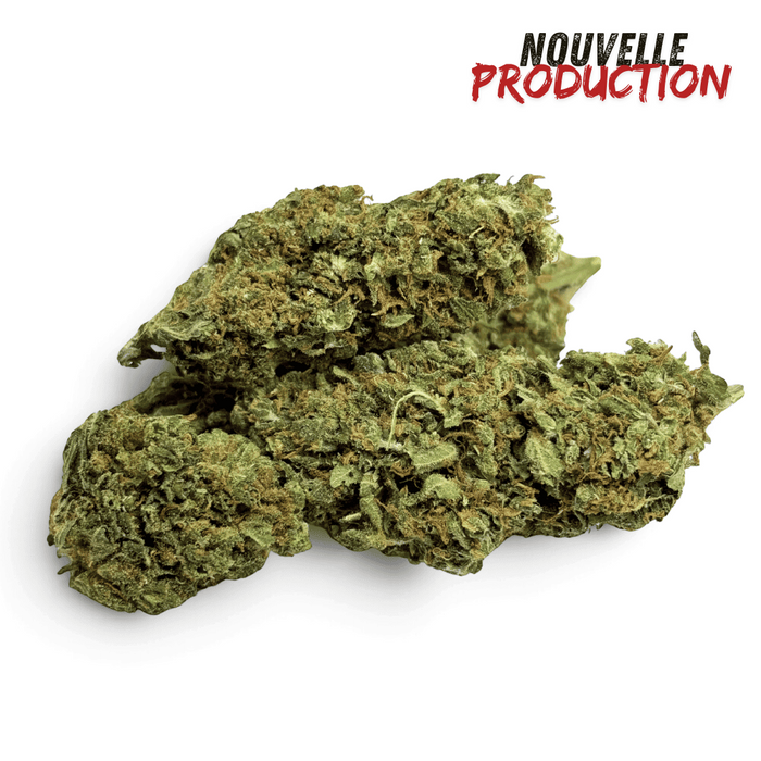 Fleur de CBD Mango Kush Indoor – vue principale