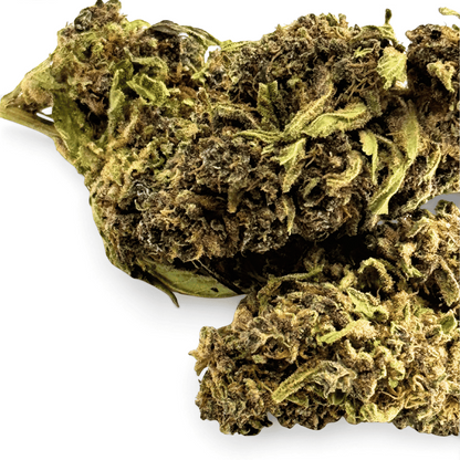 Fleurs CBD Purple Haze Greenhouse – détail 3