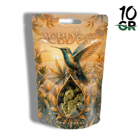 Fleur de CBD Orange Bud 10g préemballée – détail 2