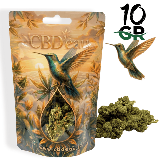 Fleur de CBD Orange Bud 10g préemballée – vue principale