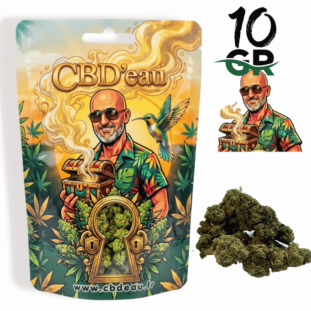 Fleur de CBD California Kush 10g préemballée – vue principale