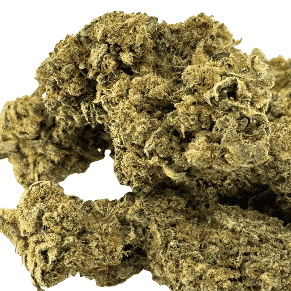 Fleur de CBD Lemon Pop Indoor – détail 2