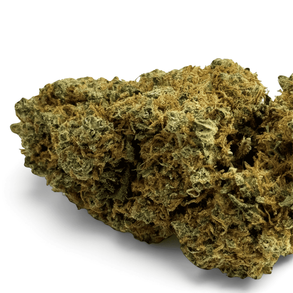 Fleur de CBD Orangello Indoor – détail 3