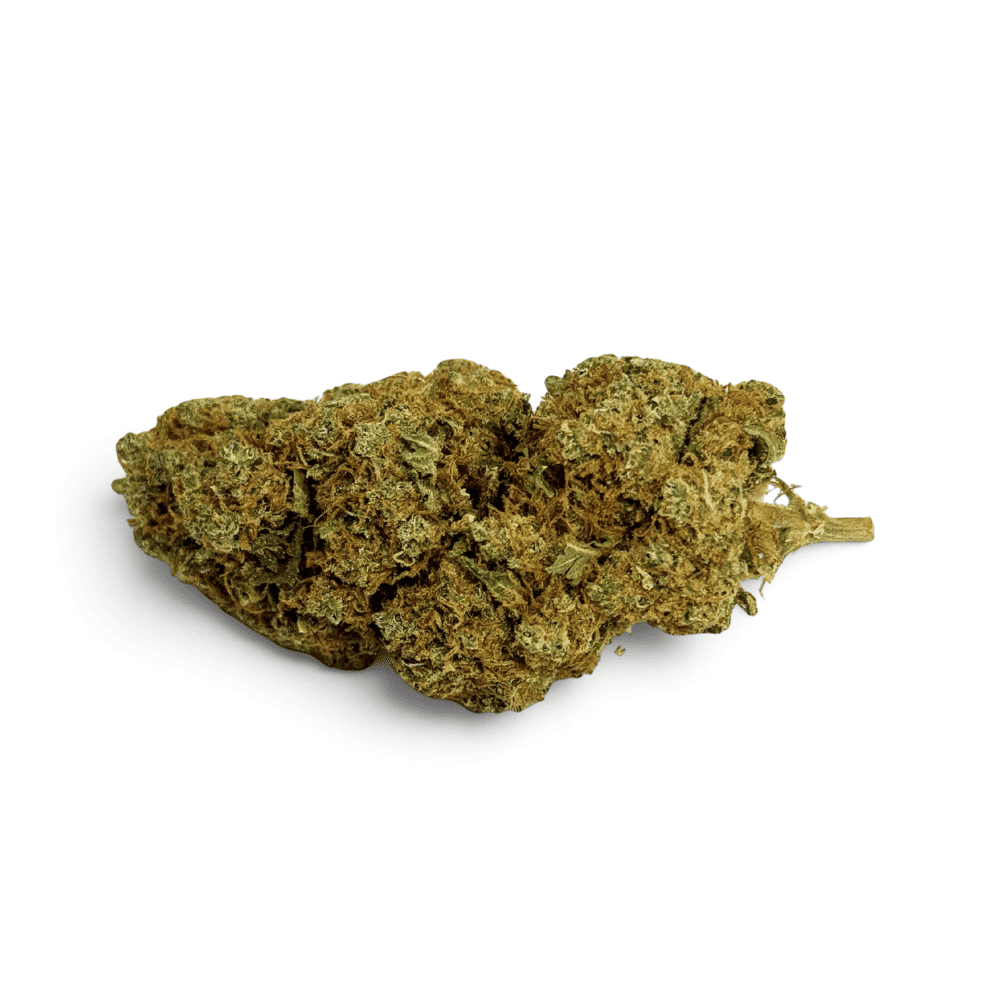 Fleur de CBD Orangello Indoor – vue principale