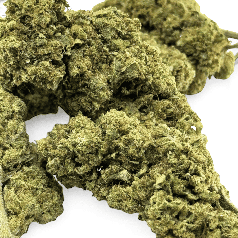 Fleur de CBD Great White Shark Greenhouse – détail 2